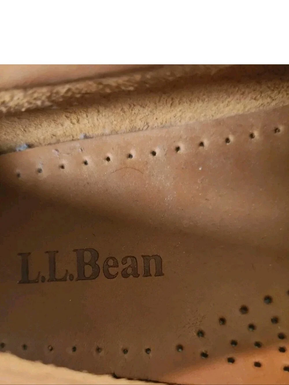 L.L. Bean title  l